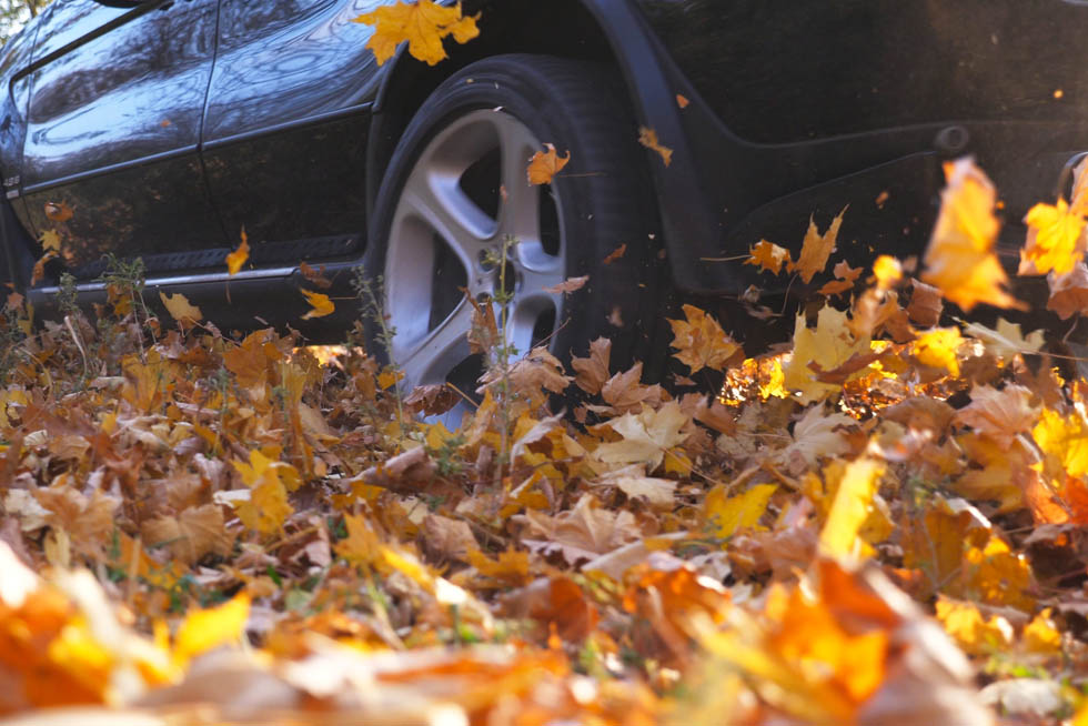 auto_box_life auto_box_life