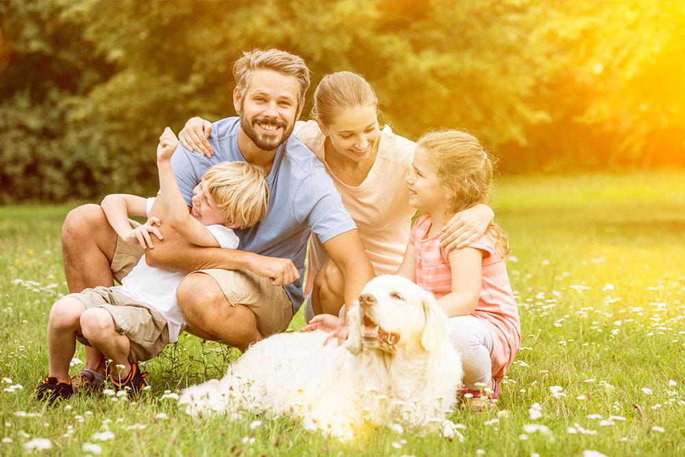 Life Insurance Life Insurance - https://www.richardgreeninsurance.com/