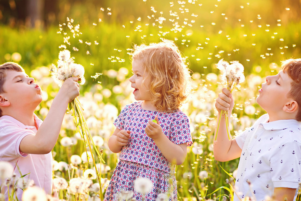 Three children joyfully blow dandelions in a sunlit field - https://www.richardgreeninsurance.com/